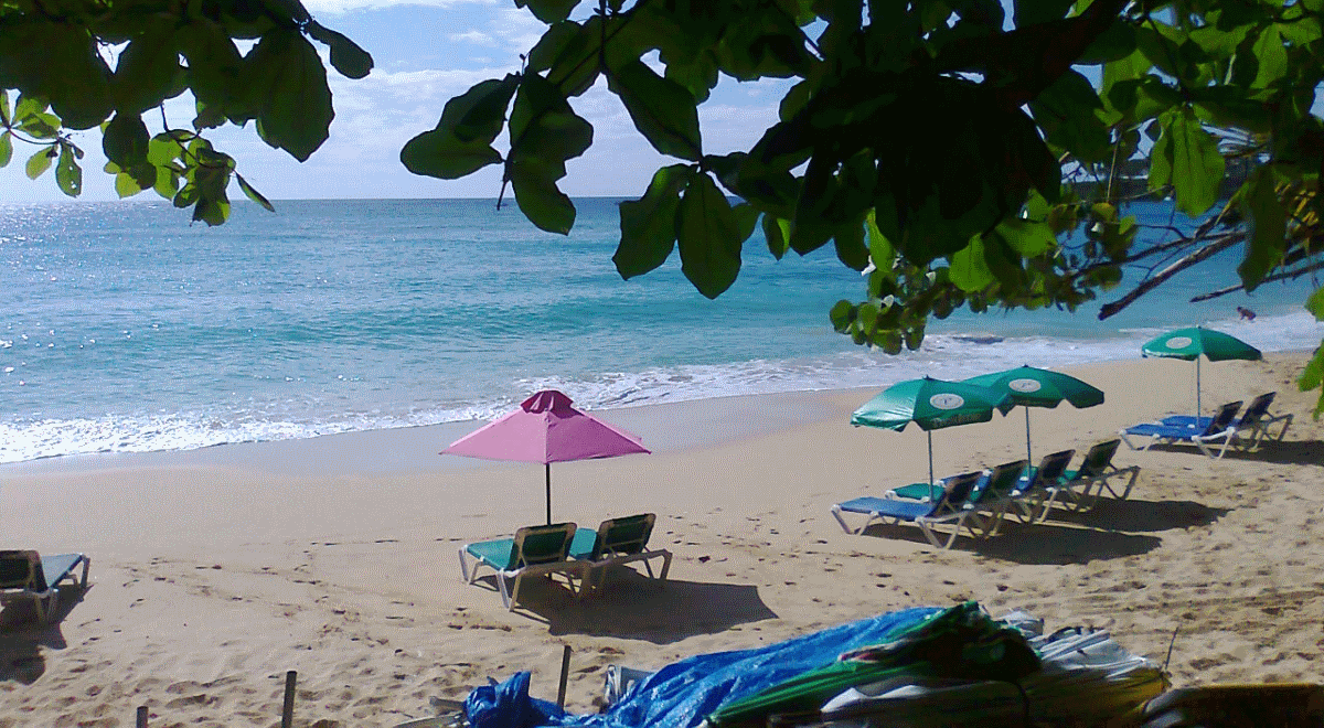 playa-sosua-2.gif